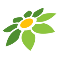 DASBORD YOUTUBE